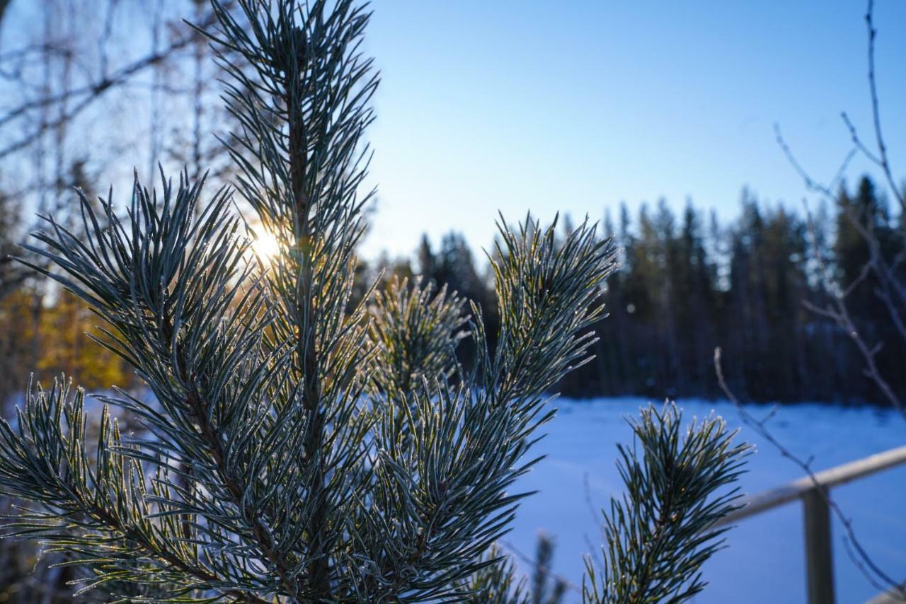 Asarna Skicenter Kültér fotó