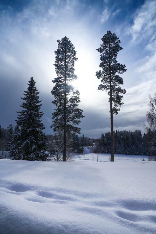 Asarna Skicenter Kültér fotó
