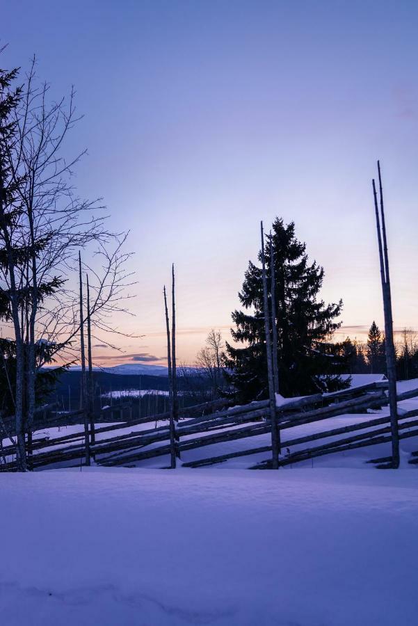 Asarna Skicenter Kültér fotó